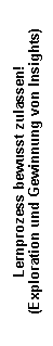Lernprozess bewusst zulassen!
(Exploration und Gewinnung von Insights)